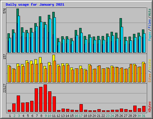 Daily usage for January 2021