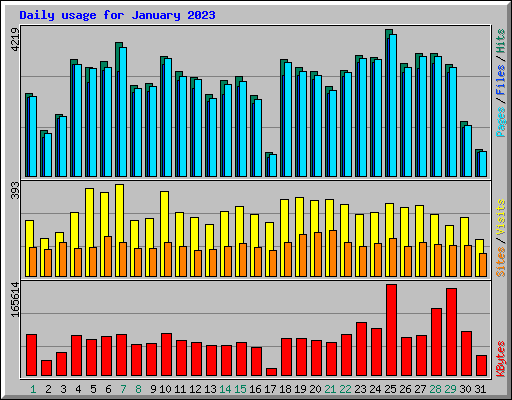 Daily usage for January 2023
