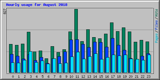 Hourly usage for August 2018