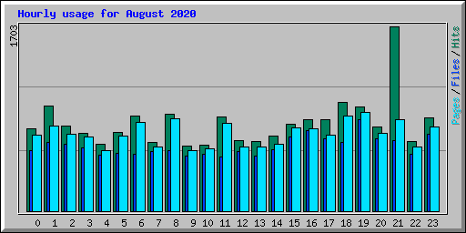 Hourly usage for August 2020