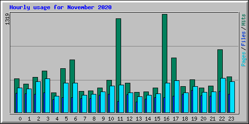 Hourly usage for November 2020