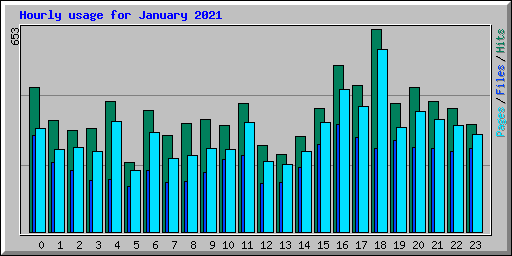 Hourly usage for January 2021