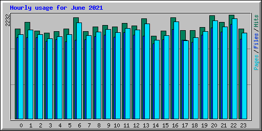 Hourly usage for June 2021