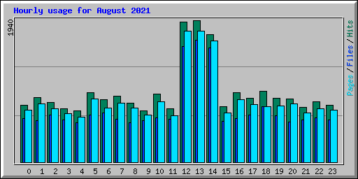 Hourly usage for August 2021
