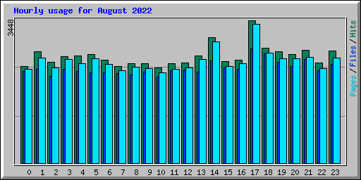 Hourly usage for August 2022